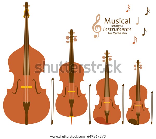 Musical stringed instruments for orchestra.
Vector illustration
