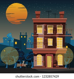 musician at building in night vector illustration 