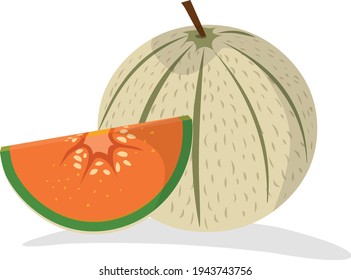 Ilustración vectorial de la melón Musk aislada en fondo blanco