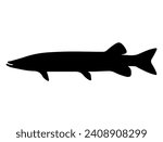 Muskellunge fish silhouette vector art white background