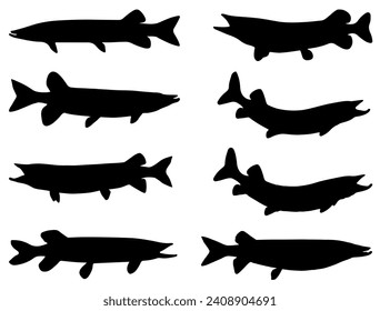 Muskellunge fish silhouette vector art