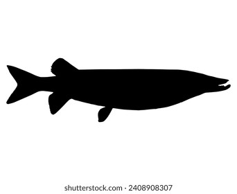 Muskellunge fish silhouette vector art white background