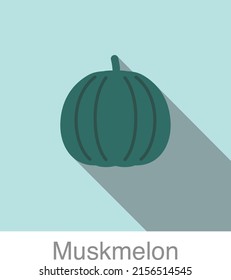 Muskmelon fruit flat icon, vector illustration