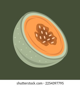 Muskmelon fruit flat vector illustration. Cute muskmelon fruit slice cartoon vector illustration for graphic design and decorative element