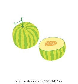 Muskmelon simple isolated vector, Fruit