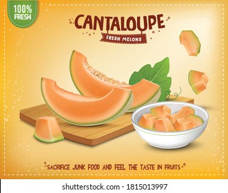 muskmelon slice and muskmelon pieces bowl vector illustration on a colored background 