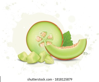 muskmelon slice and muskmelon pieces vector illustration