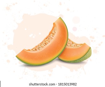 muskmelon Slices  vector illustration on white background