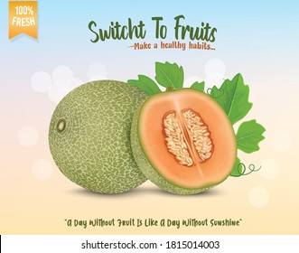 muskmelon vector illustration with muskmelon half piece on light blue background