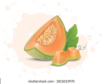 muskmelon vector illustration with muskmelon pieces and seeds