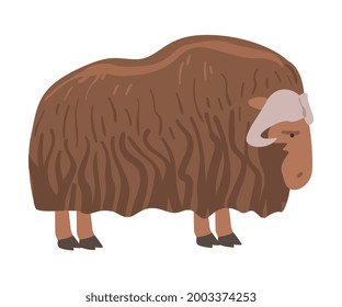 Muskox Arctic Animal, Wild Polar Mammal Cartoon Vector Illustration