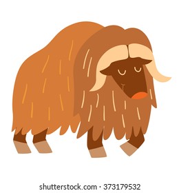 Musk-ox.  Flat cartoon vector illustration, isolate on white  background