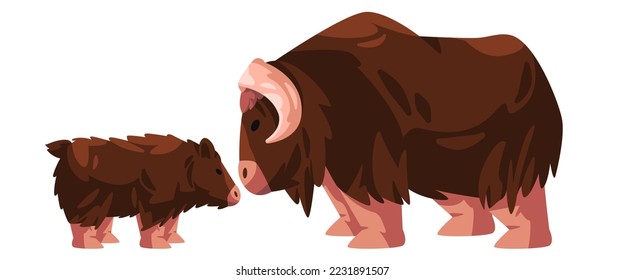 Muskox horned hairy bull vector drawing illustration cartoon with small young new born