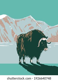 Muskox or Musk Ox in Winter in the Cape Krusenstern National Monument in Northwestern Alaska WPA Poster Art