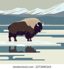 Muskox en terreno nevado. Animales del Ártico en el hábitat natural. Concepto de ilustración vectorial plana