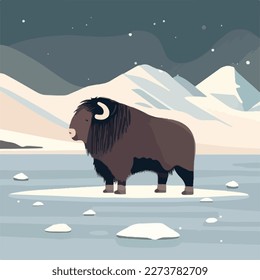 Muskox in snowy terrain. Arctic animals in natural habitat. Flat vector illustration concept