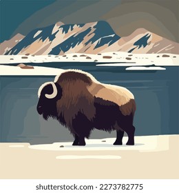 Muskox en terreno nevado. Animales del Ártico en el hábitat natural. Concepto de ilustración vectorial plana