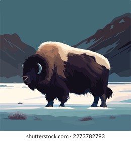 Muskox in snowy terrain. Arctic animals in natural habitat. Flat vector illustration concept