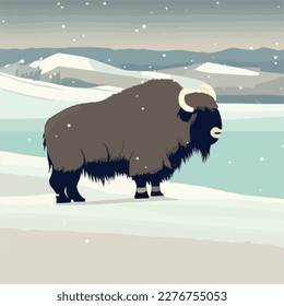 Muskox in snowy terrain. Arctic animals in natural habitat. Flat vector illustration concept