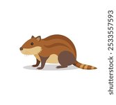 
Muskrat animal isolated flat vector illustration on white background.