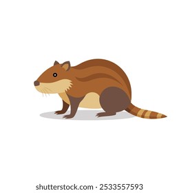 
Muskrat animal isolated flat vector illustration on white background.