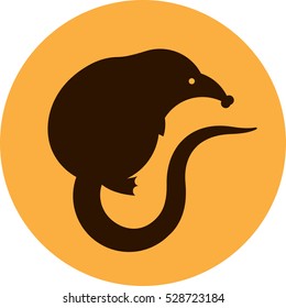 Muskrat Desman Sign Vector