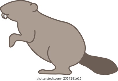 muskrat groundhog nutria beaver otter