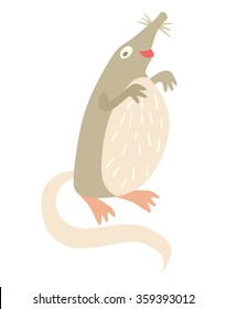 Muskrat. Vector Illustration, Isolate On White  Background