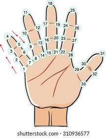 Muslim hands in pose of praying