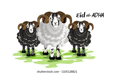 Muslim holiday Eid al-Adha. the sacrifice white and black sheep Muslim holiday Eid al-Adha. the sacrifice white and black sheep