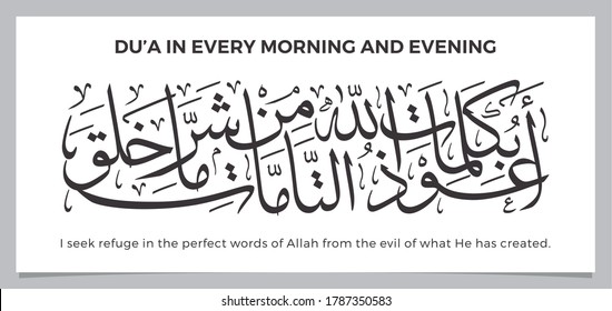 Muslim are recommended to read in the morning and evening, أَعُوذُ بِكَلِمَاتِ اللهِ التَّامَّاتِ مِنْ شَرِّ مَا خَلَقَ
I seek refuge in the perfect words of Allah from the evil of what He has created