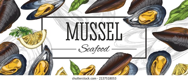 Mussel banner or menu template hand drawn colorful vector illustration. Seafood restaurant menu layout or packaging label design with fresh mussels clams.