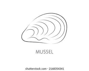 Muschelbiventile, einzelne Vektorgrafik