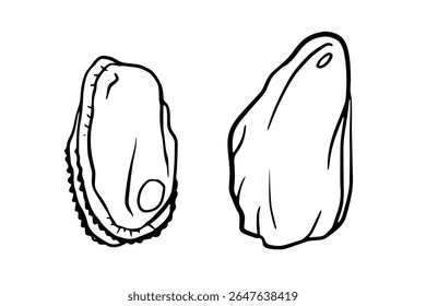 Ilustração gráfica de mexilhão, ótimo para menus de frutos do mar, livros de receitas, rótulos culinários, embalagem de alimentos, materiais educativos ou projetos de temas costeiros.