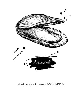 Mussel hand drawn vector illustration. Engraved style vintage seafood. Oyster sketch. Great for Fish and sea food restaurant menu, flyer, card, business promote.