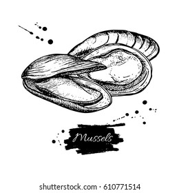 Mussel handgezeichnet Vektorgrafik. Die Meeresfrüchte sind im klassischen Stil gehalten. Austernskizze. Ideal für Fisch und Meeresfrüchte-Restaurant-Menü, Flyer, Karte, Geschäftswerbung.