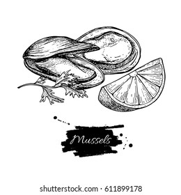 Mussel hand drawn vector illustration. Engraved style vintage seafood. Oyster sketch. Great for Fish and sea food restaurant menu, flyer, card, business promote.