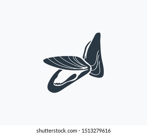 Mussel icon isolated on clean background. Mussel icon concept drawing icon in modern style. Vector illustration for your web mobile logo app UI design.