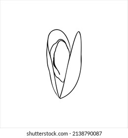 ilustración vectorial de doodle de mejillón. Icono de contorno aislado en fondo blanco
