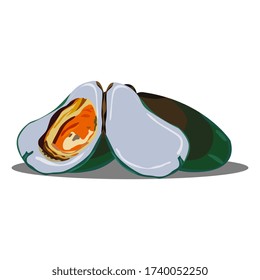 The mussel on white background.