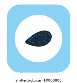 mussel shell on white background