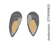 Mussel shells pair in soft grey tones flat vector style