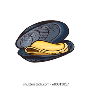 Mussel vector icon isolated, hand drawn sketch of clam, template for menu, luxury sea food diet infographics, sticker, flyer, print
