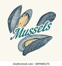 Mussels badge or logo in vintage retro style. Nautical molluscs label. Ocean food. Vector illustration. Hand drawn engraved retro sketch 