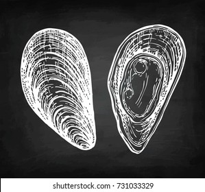 Mussels. Chalk Sketch On Blackboard Background. Hand Drawn Vector Illustration. Retro Style.