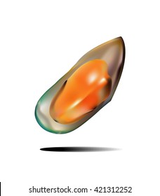 Mussels cooked with shell isolated on white photo-realistic vector illustration