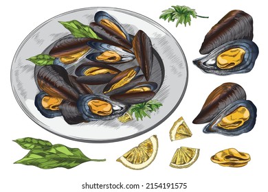 Mussels delicious restaurant meal with lemon and herbs, hand drawn sketch style vector illustration isolated on white background. Seafood delicatessen.