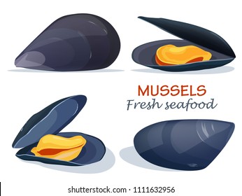 Mussels fresh seafood