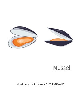 Mussels, fresh and tasty seafood.  Vector flat illustration.