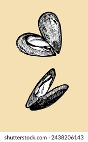 Mussels hand drawn sketch, vector illustration
